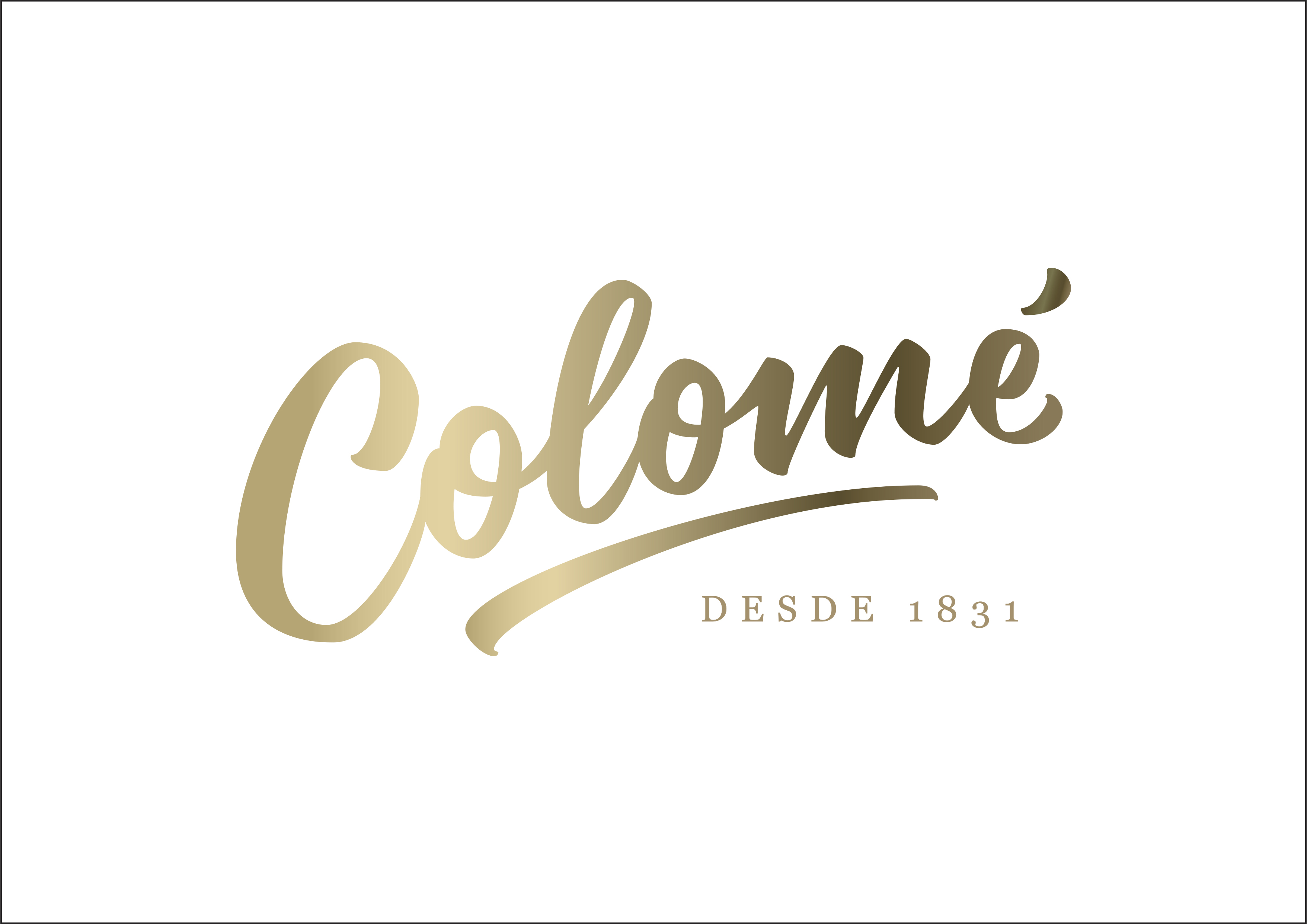 ESTANCIA & BODEGA COLOMÉ